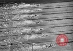 Image of 1936 Olympics Womens 100 meter swim Berlin Germany, 1936, second 17 stock footage video 65675048130