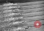 Image of 1936 Olympics Womens 100 meter swim Berlin Germany, 1936, second 18 stock footage video 65675048130