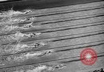 Image of 1936 Olympics Womens 100 meter swim Berlin Germany, 1936, second 19 stock footage video 65675048130