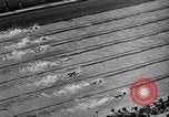 Image of 1936 Olympics Womens 100 meter swim Berlin Germany, 1936, second 26 stock footage video 65675048130