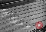 Image of 1936 Olympics Womens 100 meter swim Berlin Germany, 1936, second 28 stock footage video 65675048130