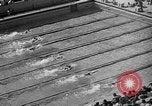 Image of 1936 Olympics Womens 100 meter swim Berlin Germany, 1936, second 29 stock footage video 65675048130