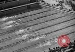 Image of 1936 Olympics Womens 100 meter swim Berlin Germany, 1936, second 30 stock footage video 65675048130