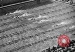 Image of 1936 Olympics Womens 100 meter swim Berlin Germany, 1936, second 44 stock footage video 65675048130