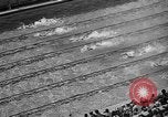Image of 1936 Olympics Womens 100 meter swim Berlin Germany, 1936, second 45 stock footage video 65675048130