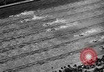 Image of 1936 Olympics Womens 100 meter swim Berlin Germany, 1936, second 46 stock footage video 65675048130