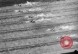 Image of 1936 Olympics Womens 100 meter swim Berlin Germany, 1936, second 55 stock footage video 65675048130