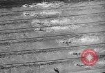 Image of 1936 Olympics Womens 100 meter swim Berlin Germany, 1936, second 57 stock footage video 65675048130