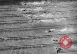 Image of 1936 Olympics Womens 100 meter swim Berlin Germany, 1936, second 58 stock footage video 65675048130