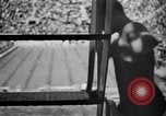 Image of 1936 Berlin Olympics Mens diving event Berlin Germany, 1936, second 26 stock footage video 65675048131