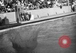 Image of 1936 Berlin Olympics Mens diving event Berlin Germany, 1936, second 37 stock footage video 65675048131