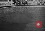 Image of 1936 Berlin Olympics Mens diving event Berlin Germany, 1936, second 57 stock footage video 65675048131