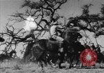 Image of Agrarian society shifting to industrialization in America United States USA, 1961, second 51 stock footage video 65675048132