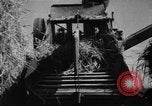Image of Rubber goods factory in early 1900s America United States USA, 1925, second 42 stock footage video 65675048135