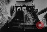 Image of Rubber goods factory in early 1900s America United States USA, 1925, second 44 stock footage video 65675048135
