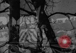 Image of Theodore Roosevelt United States USA, 1912, second 28 stock footage video 65675048140