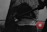 Image of Theodore Roosevelt United States USA, 1912, second 30 stock footage video 65675048140