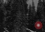 Image of Theodore Roosevelt United States USA, 1912, second 32 stock footage video 65675048140