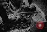 Image of Theodore Roosevelt United States USA, 1912, second 33 stock footage video 65675048140