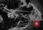 Image of Theodore Roosevelt United States USA, 1912, second 34 stock footage video 65675048140