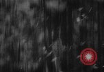 Image of Theodore Roosevelt United States USA, 1912, second 36 stock footage video 65675048140