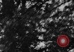 Image of Theodore Roosevelt United States USA, 1912, second 38 stock footage video 65675048140