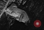 Image of Theodore Roosevelt United States USA, 1912, second 39 stock footage video 65675048140