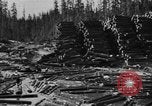 Image of Theodore Roosevelt United States USA, 1912, second 40 stock footage video 65675048140