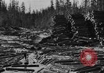 Image of Theodore Roosevelt United States USA, 1912, second 41 stock footage video 65675048140