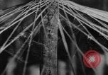 Image of Theodore Roosevelt United States USA, 1913, second 23 stock footage video 65675048143