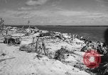 Image of Japanese coastal gun Tarawa Gilbert Islands, 1943, second 16 stock footage video 65675048147
