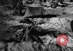 Image of Japanese coastal gun Tarawa Gilbert Islands, 1943, second 46 stock footage video 65675048147