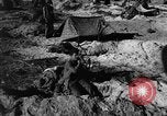 Image of Japanese coastal gun Tarawa Gilbert Islands, 1943, second 48 stock footage video 65675048147