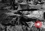 Image of Japanese coastal gun Tarawa Gilbert Islands, 1943, second 50 stock footage video 65675048147