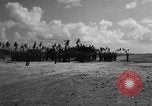 Image of Japanese coastal gun Tarawa Gilbert Islands, 1943, second 53 stock footage video 65675048147