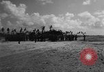 Image of Japanese coastal gun Tarawa Gilbert Islands, 1943, second 54 stock footage video 65675048147