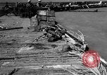 Image of American marines Tarawa Gilbert Islands, 1943, second 43 stock footage video 65675048148
