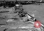 Image of American marines Tarawa Gilbert Islands, 1943, second 46 stock footage video 65675048148