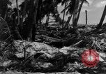 Standbild amerikanischen Marines Tarawa Gilbert Inseln, 1943, aus Sekunde 19 historischem Filmmaterial Videoclip 65675048149