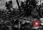 Standbild amerikanischen Marines Tarawa Gilbert Inseln, 1943, aus Sekunde 22 historischem Filmmaterial Videoclip 65675048149