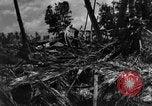Standbild amerikanischen Marines Tarawa Gilbert Inseln, 1943, aus Sekunde 23 historischem Filmmaterial Videoclip 65675048149