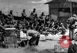 Standbild amerikanischen Marines Tarawa Gilbert Inseln, 1943, aus Sekunde 46 historischem Filmmaterial Videoclip 65675048149