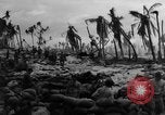 Image of United States Marines Tarawa Gilbert Islands, 1943, second 30 stock footage video 65675048150