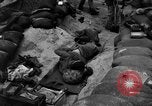 Image of United States Marines Tarawa Gilbert Islands, 1943, second 41 stock footage video 65675048150