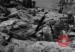 Image of United States Marines Tarawa Gilbert Islands, 1943, second 49 stock footage video 65675048150