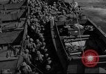 Immagine di Stati Uniti Marines Teatro pacifico, 1943, secondo 9 filmato di repertorio 65675048159