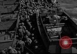 Immagine di Stati Uniti Marines Teatro pacifico, 1943, secondo 12 filmato di repertorio 65675048159