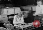 Image of woman worker United States USA, 1931, second 61 stock footage video 65675048206