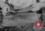 Image of women workers United States USA, 1931, second 47 stock footage video 65675048208