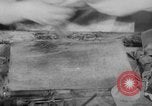 Image of women workers United States USA, 1931, second 48 stock footage video 65675048208
